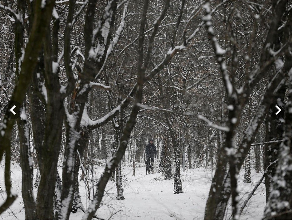 Στον πάγο η Ευρώπη -Πάνω από 40 οι νεκροί τα τελευταία 24ωρα